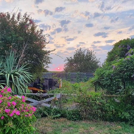 La Planquette Villa Saint-Laurent-de-Medoc Eksteriør bilde